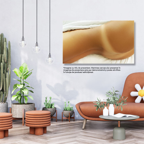 Tablou Canvas: Frumusetea Pielii - Detaliu Femeiesc in Dormitor, Senzualitate si Eleganta 40x25CM [2]