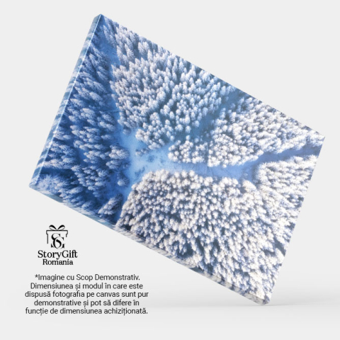 Tablou Canvas Fundal de Iarna cu Padurea Vazuta de Sus, iarna, padure, natura, zapada, fundal 5159 40x25CM [3]