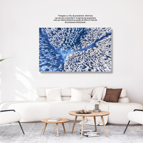 Tablou Canvas Fundal de Iarna cu Padurea Vazuta de Sus, iarna, padure, natura, zapada, fundal 5159 40x25CM [2]