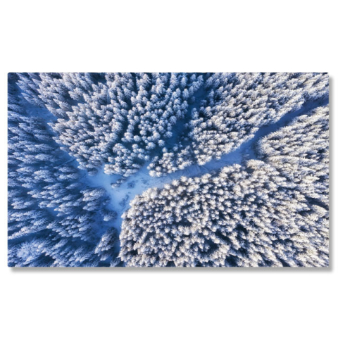 Păduri - Tablou Canvas Fundal de Iarna cu Padurea Vazuta de Sus, iarna, padure, natura, zapada, fundal 5159 40x25CM