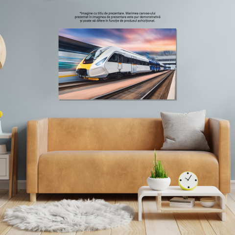 Gara în Mișcare pe Timp de Zi - O Evocare a Vitezei, Marime 40x25CM [3]