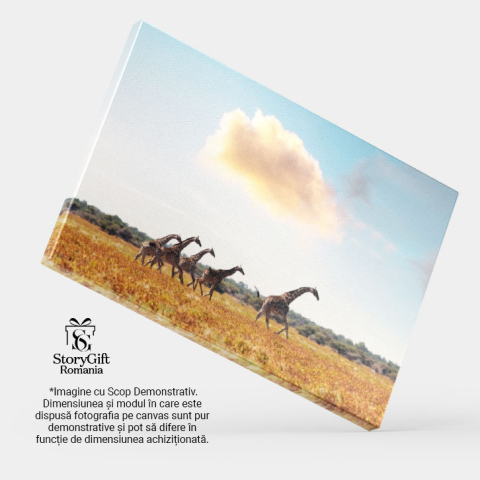 Tablou Canvas Girafa in Iarba Uscata a Savannah-ului African, giraffe, natura, peisaj, Africa 2143 40x25CM [3]