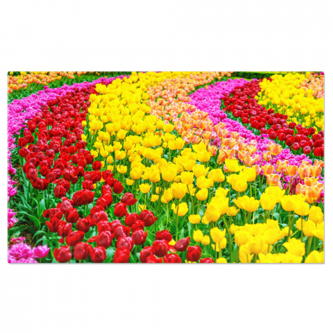Marimea 90x60CM - Tablou Canvas Gradina de Lalele in Primavara, fundal, natura, floare, primavara, peisaj 90x60CM