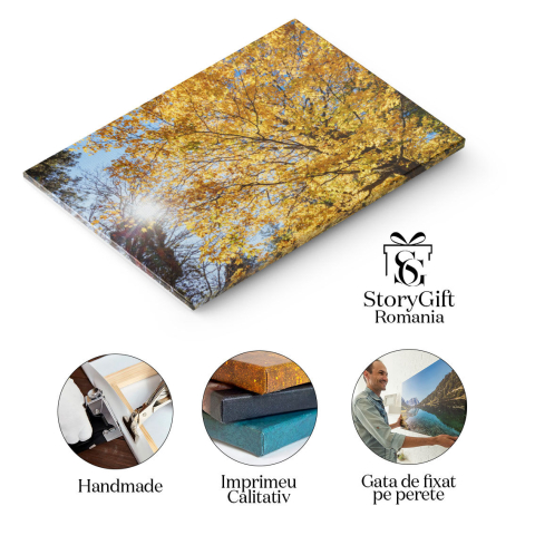 Tablou Canvas Gradinile Memorial Alfred Nicholas in Australia, australia, toamna, frumos, boathouse, colorat, colorat, rural, dandenongs, mediu, cadere, frunze, padure, gradini, aurii, idilic 361 40x2 [1]