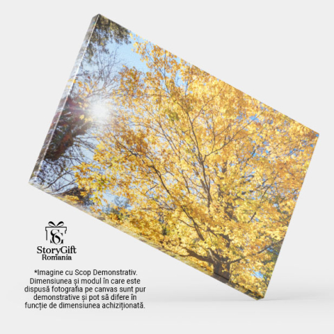 Tablou Canvas Gradinile Memorial Alfred Nicholas in Australia, australia, toamna, frumos, boathouse, colorat, colorat, rural, dandenongs, mediu, cadere, frunze, padure, gradini, aurii, idilic 361 40x2 [3]