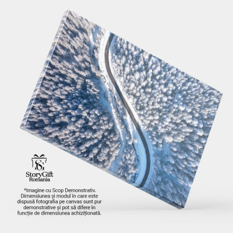 Tablou Canvas: Iarna de Sus - O Perspectiva Aeriana a Peisajului de Iarna 40x25CM [3]