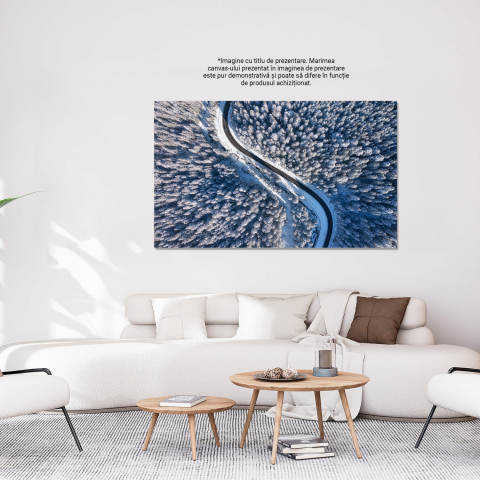 Iarna de Sus - Perspectivă Aeriană a Peisajului de Iarnă, Marime 40x25CM [2]