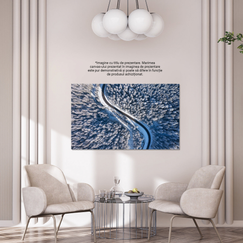 Iarna de Sus - Perspectivă Aeriană a Peisajului de Iarnă, Marime 40x25CM [3]