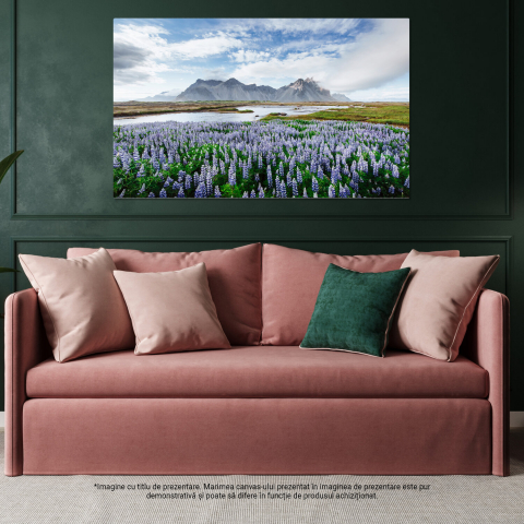 Tablou Canvas Incredible Aventuri: Peisaje Costiere cu Stanci și Ghetari, Marime 40x25CM [3]