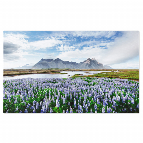 Munte - Tablou Canvas Incredible Aventuri: Peisaje Costiere cu Stanci și Ghetari, Marime 40x25CM