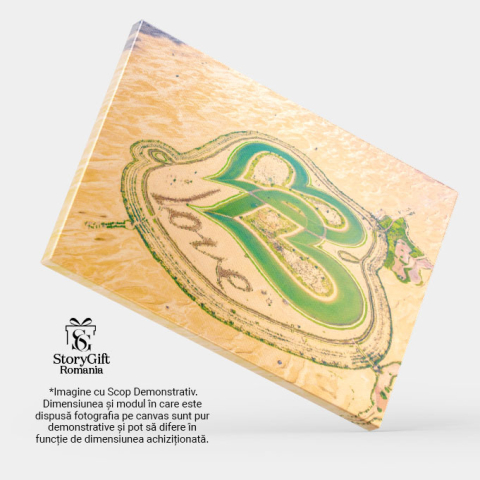 Tablou Canvas Inima Galbena a Desertului desert, aerial, iubire, simbol, calatorie 1631 40x25CM [3]