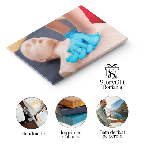 Tablou Canvas: Instruire in Tehnici de Resuscitare - Cunostinte pentru Situatii de Urgenta 40x25CM [1]