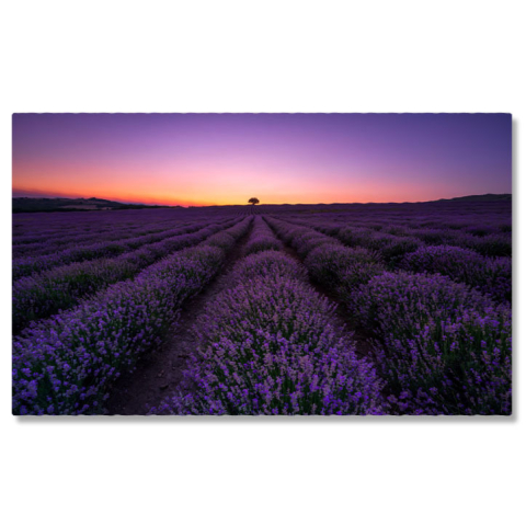 Tablouri Canvas - Tablou Canvas - Lavanda in Provence: Magie la Rasarit si Apus 40x25CM