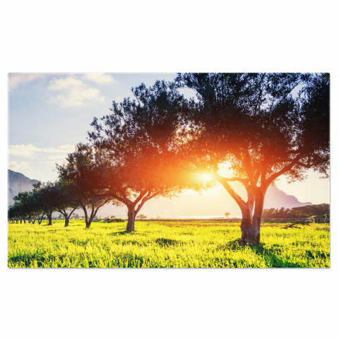 Peisaj - Tablou Canvas Lumina prin Frunzele Verzi: Peisaj Verde și Atmosferă Relaxantă, Marime 40x25CM