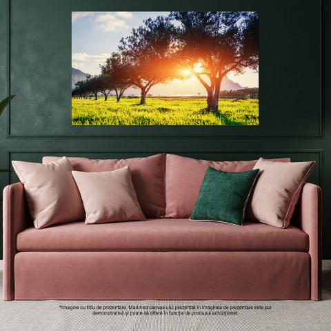 Tablou Canvas Lumina prin Frunzele Verzi: Peisaj Verde și Atmosferă Relaxantă, Marime 40x25CM [3]