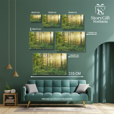 Tablou Canvas Lumina soarelui in padure, copaci, peisaj natural 2524 40x25CM [4]