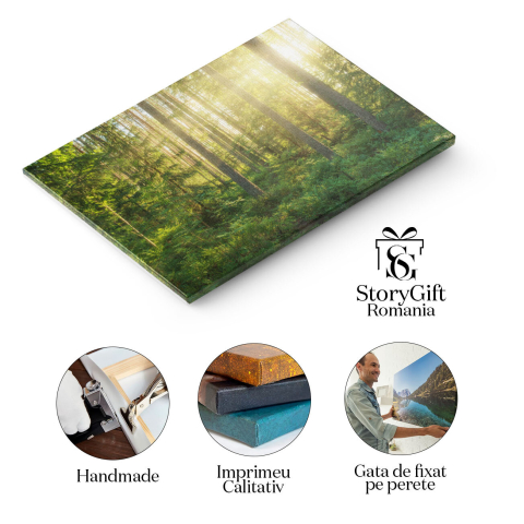 Tablou Canvas Lumina soarelui in padure, copaci, peisaj natural 2524 40x25CM [1]