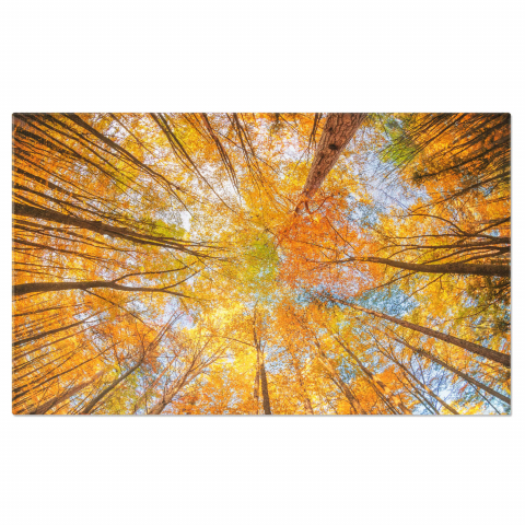 Magia Pădurii Toamnei, Marime 40x25CM