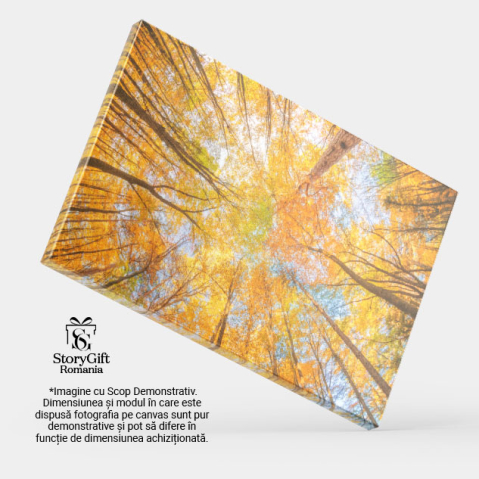 Tablou Canvas Magia padurii toamnei, frunze, peisaj natural, toamna 2520 40x25CM [3]