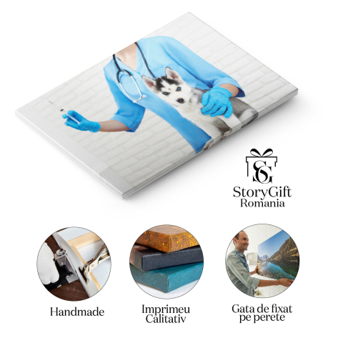 Tablou Canvas - Mascota Husky: Ochi Albastri si Par Moale pentru Cei Mici 40x25CM [1]