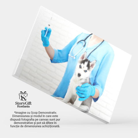 Tablou Canvas - Mascota Husky: Ochi Albastri si Par Moale pentru Cei Mici 40x25CM [3]