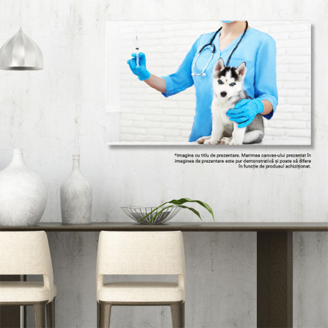 Tablou Canvas - Mascota Husky: Ochi Albastri si Par Moale pentru Cei Mici 40x25CM [2]