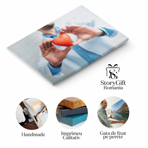 Medic Devotat în Clinica de Sănătate: Îngrijire și Profesionalism, Marime 40x25CM [1]