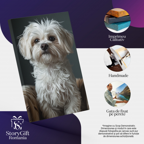 Tablou Canvas  Micul Catel Alb care sta pe Fotoliu cu Ochii Negri Luminosi si Nasul Mic se uita Atent  , Pictura Digitala 40x25CM [1]