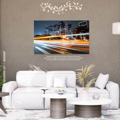Mișcare Rapidă pe Autostrăzi și Pasarele - Orașul în Flux, Marime 40x25CM [3]
