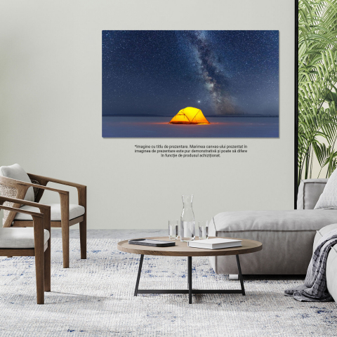 Tablou Canvas Noaptea Sub Stele: Călătorie Prin Calea Lactee, Marime 40x25CM [3]