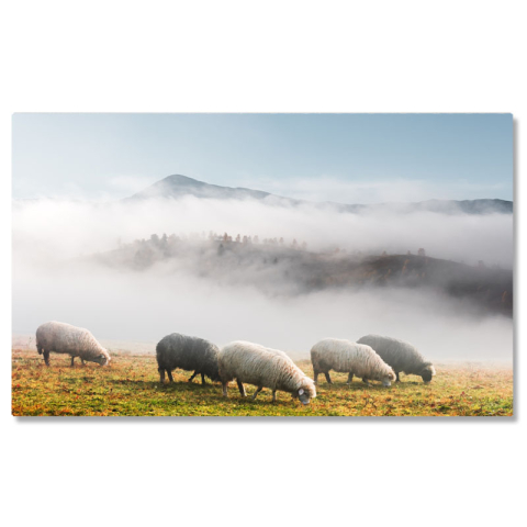 Peisaj - Tablou Canvas - Oi in munte pe ceata: sheeps, foggy, mountain, nature 40x25CM