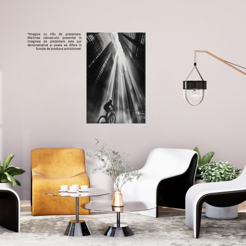 Om pe Bicicletă în Razele Soarelui - Eleganță Urbană în Alb-Negru, Marime 40x25CM [2]