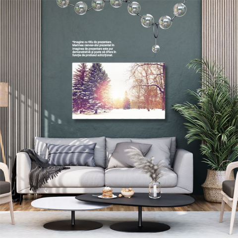 Tablou Canvas Padure de Iarna cu Brazi si Zapada, iarna, padure, natura, zapada, Craciun 5160 40x25CM [2]