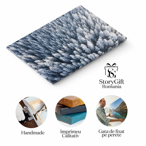 Padure Iarna Aeriana, Marime 40x25CM [1]