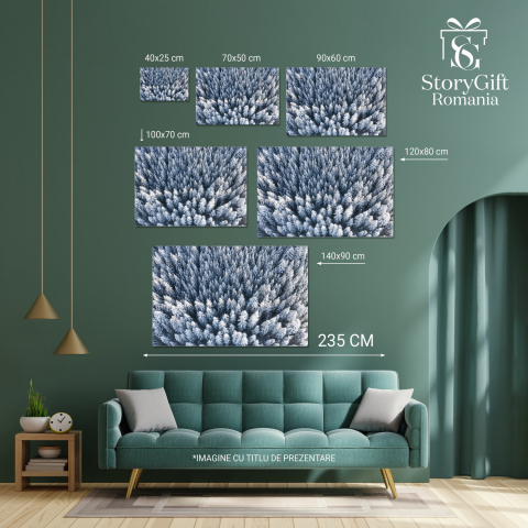 Padure Iarna Aeriana, Marime 40x25CM [3]