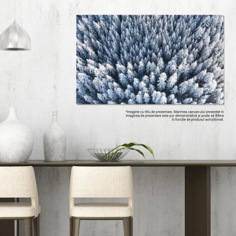 Padure Iarna Aeriana, Marime 40x25CM [2]