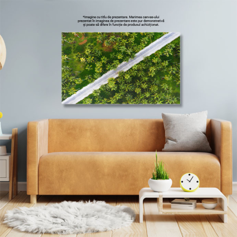 Tablou Canvas Padurea Tropicala de Cocos, drona, agricultura, culoare, zi, mediu 4795 40x25CM [2]