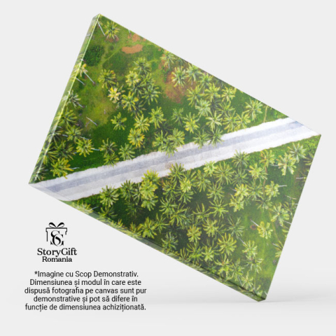 Tablou Canvas Padurea Tropicala de Cocos, drona, agricultura, culoare, zi, mediu 4795 40x25CM [3]
