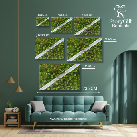 Tablou Canvas Padurea Tropicala de Cocos, drona, agricultura, culoare, zi, mediu 4795 40x25CM [4]