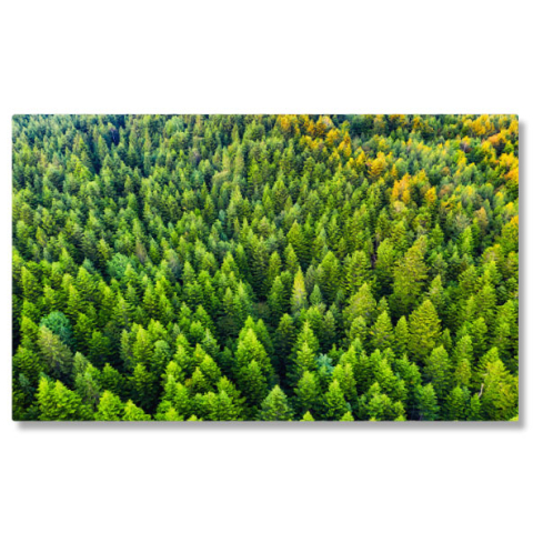 Păduri - Tablou Canvas Pagoda de Flori, Parc cu Flori, Templu, Reflexie, Insula, Indonesia, Bali, Cult, Traditional, Istorie, Oriental, Apus de Soare 3245 40x25CM