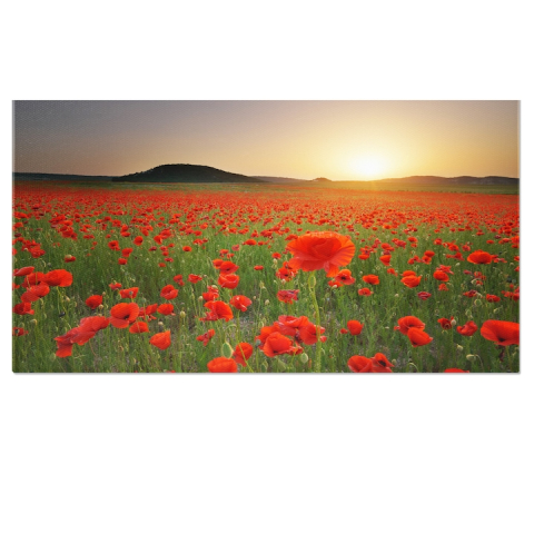 Tablouri Canvas - Tablou Canvas Pajiste de Maci la Apus: Rosu, Apus, Flori, Peisaj, Vara. 40x25CM