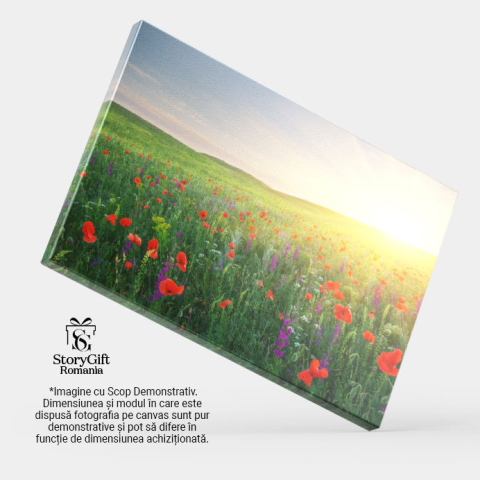 Tablou Canvas Pajiste de Primavara: Flori, Pajiste, Peisaj, Natura, Soare. 4178 40x25CM [3]