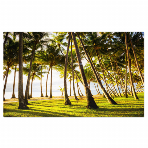 Plaja Tropicală din Palm Cove, Australia - Natură și Ocean, Marime 40x25CM