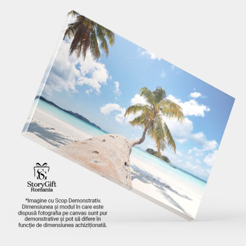 Tablou Canvas Palmier pe Plaja cu Nisip Alb Natura, Peisaj, Seychelles, Insula, Ocean 3455 40x25CM [3]