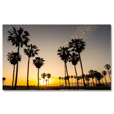 Tablouri Canvas - Tablou Canvas Palmieri Retroiluminati la Apus Palmieri, apus, natura, peisaj, relaxare 639 40x25CM