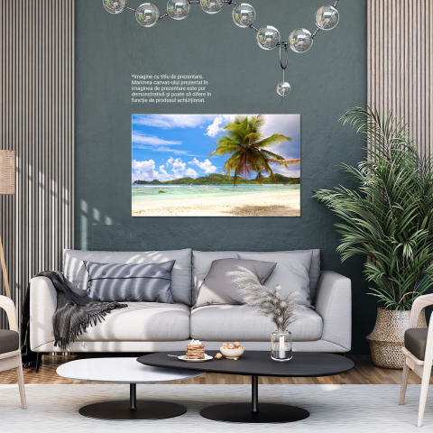 Paradis în Insulele Seychelles, Marime 40x25CM [3]