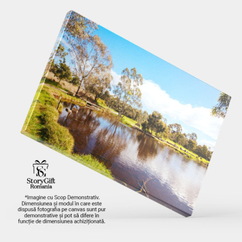 Tablou Canvas Parcul Darebin in Melbourne, Australia Darebin Parklands, Melbourne, Australia, peisaj, natura, lac 1599 40x25CM [3]