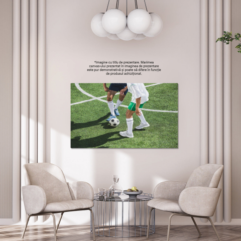Pasionați de Fotbal - Intensitatea Jocului Campionilor, Marime 40x25CM [3]