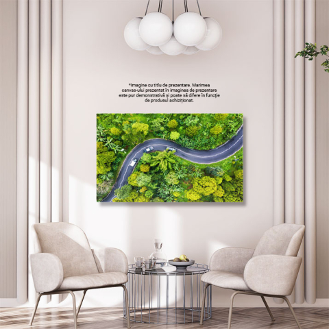 Tablou Canvas Peisaj Aerial cu Padure si Drum, Indonezia aerial, natura, padure, drum, aventura 165 40x25CM [2]
