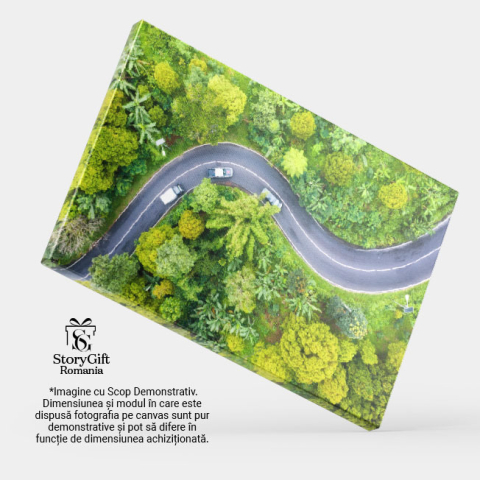 Tablou Canvas Peisaj Aerial cu Padure si Drum, Indonezia aerial, natura, padure, drum, aventura 165 40x25CM [3]